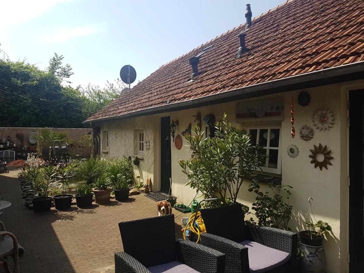 De Boerebeemd Bed and Breakfast Lieshout Exterior foto